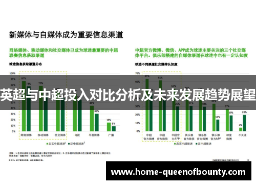 英超与中超投入对比分析及未来发展趋势展望