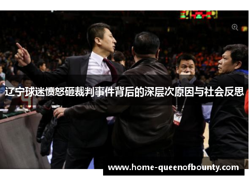 辽宁球迷愤怒砸裁判事件背后的深层次原因与社会反思