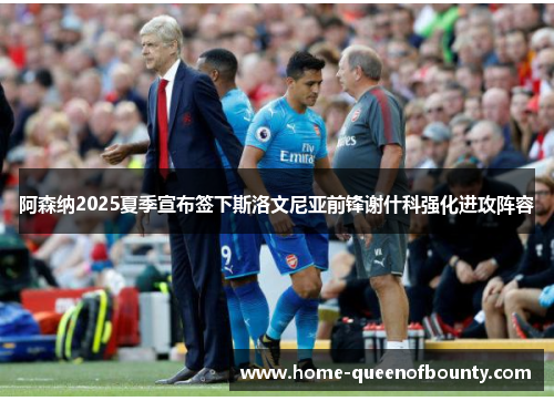 阿森纳2025夏季宣布签下斯洛文尼亚前锋谢什科强化进攻阵容